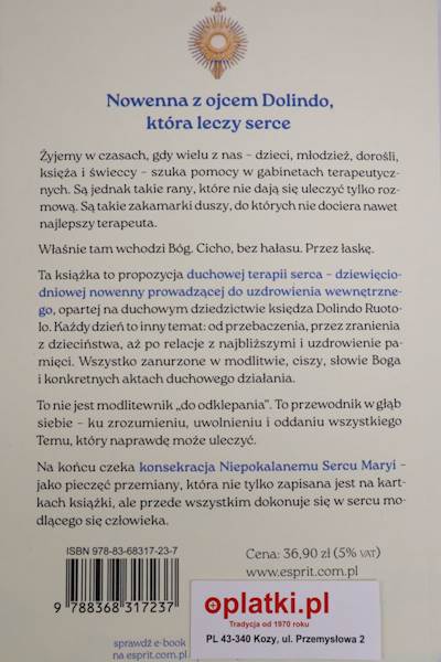 Jezu Ty się Mną zajmij 9 Dniowa Nowenna Oddania
