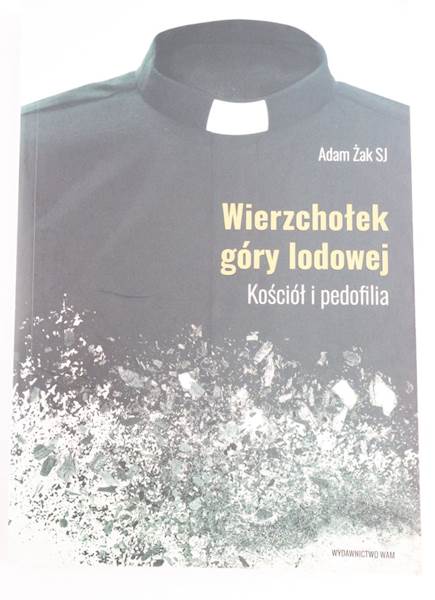 Wierzchołek Góry Lodowej Kosciół i pedofilia  WAM