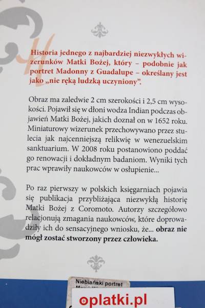 Niebiański portret Maryi  