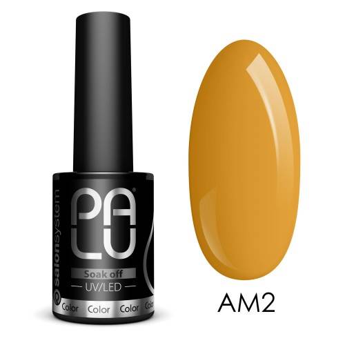 PALU Lakier hybrydowy Amsterdam AM2 11 g