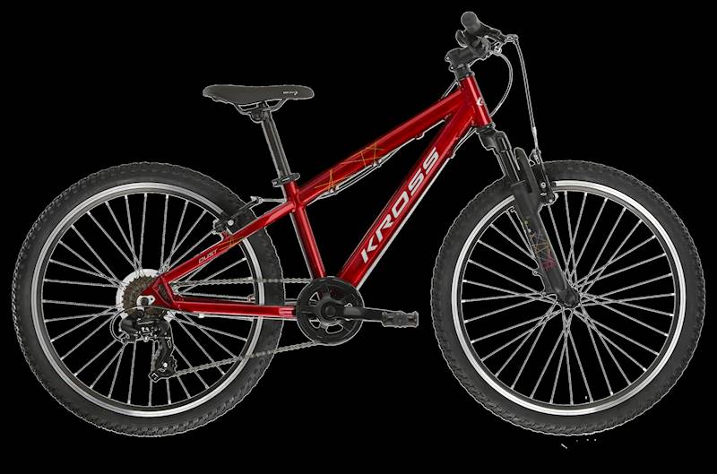 ROWER KROSS DUST JR 1.0 DISC 24 RUB SREB