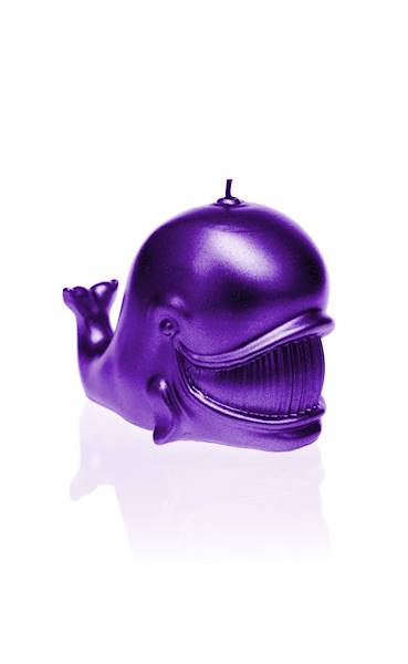 Świeca Candle Funny Whale Violet Metallic