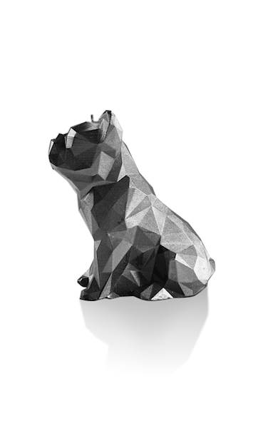 Świeca Candle Bulldog Low Poly Steel