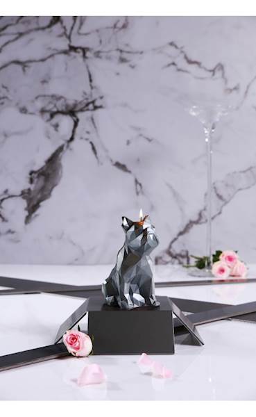 Świeca Candle Bulldog Low Poly Steel