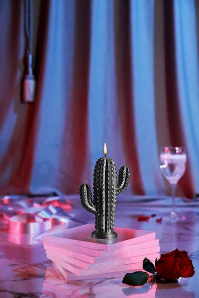 Świeca Candle Cactus Small Steel