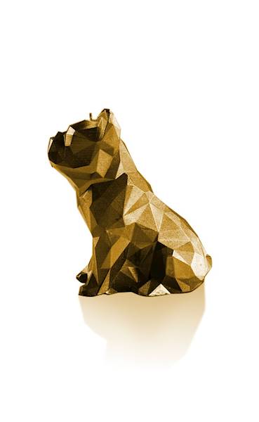 Świeca Candle Bulldog Low Poly Gold