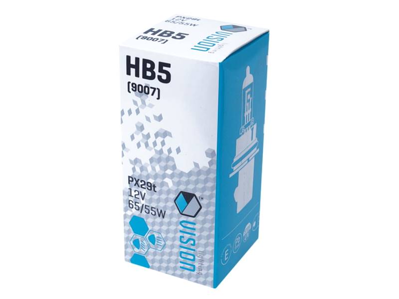 Ż12V HB5 65/55W P29t VISION