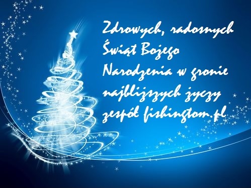 Przerwa świateczna do 27 grudnia :)