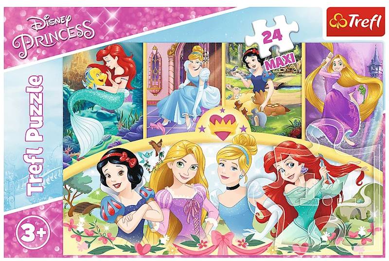 2945 PUZZLE MAXI 24 EL KSIĘŻNICZKI MAGIA WSPOMNIEŃ