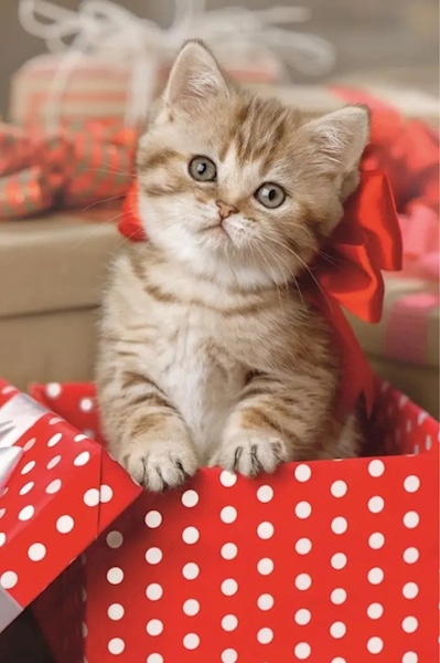 7327 Puzzle mini 54 elementy Urocze zwierzęta Kotek Trefl 