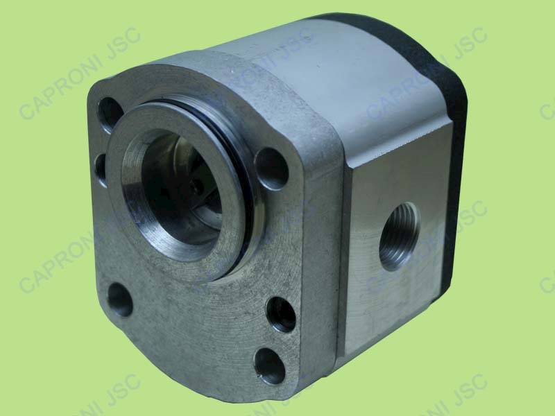 POMPA HYDRAULICZNA 20A8,2X110G