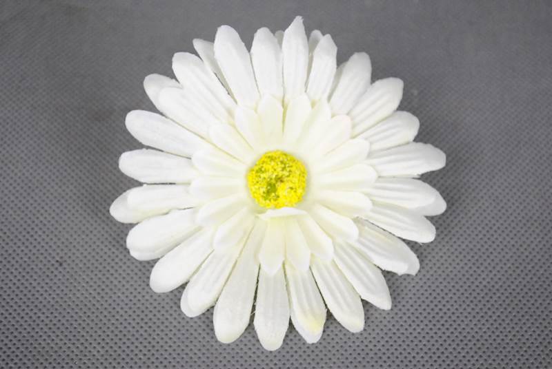 Gerbera