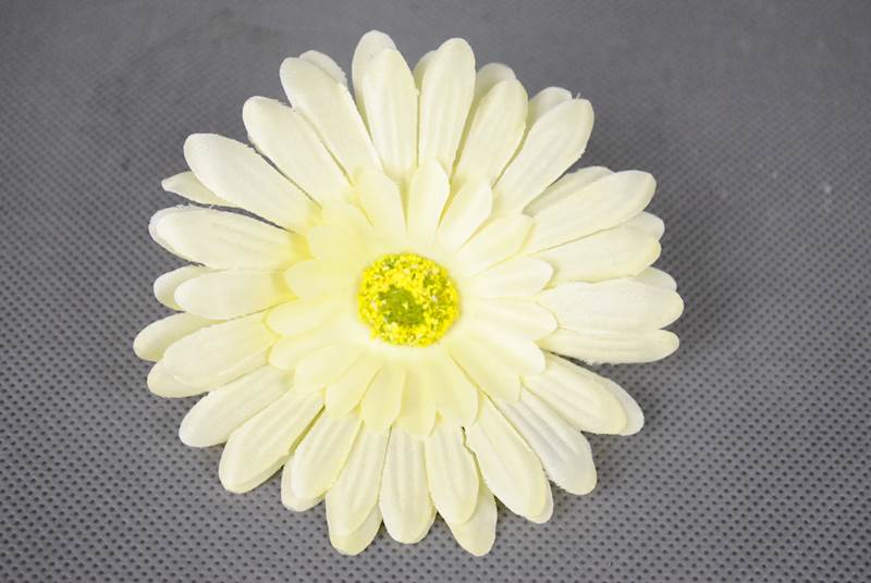 Gerbera