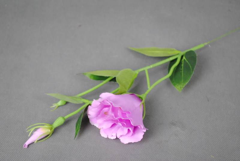 EUSTOMA