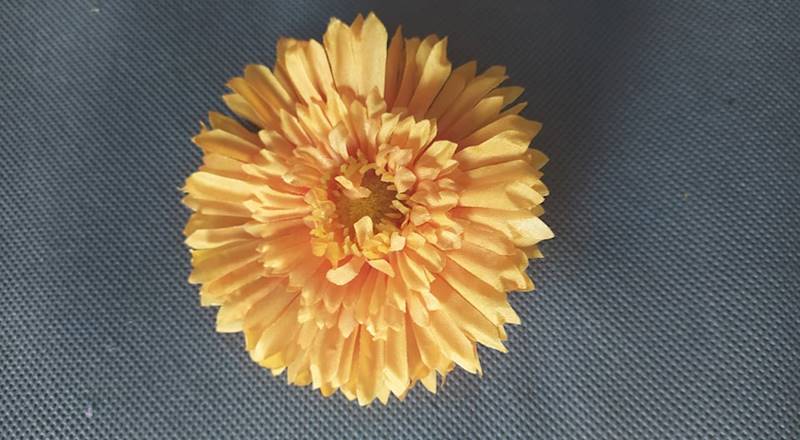 Gerbera