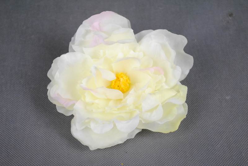 Peonia
