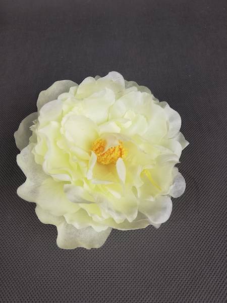 Peonia