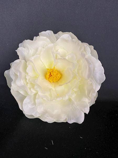Peonia
