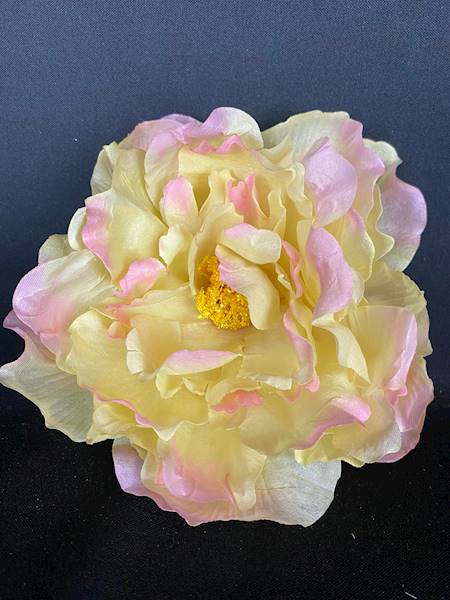 Peonia