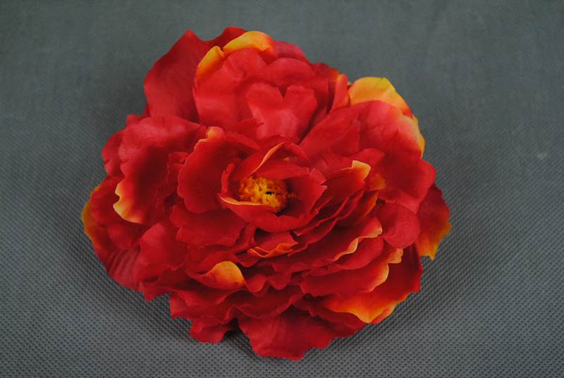 Peonia