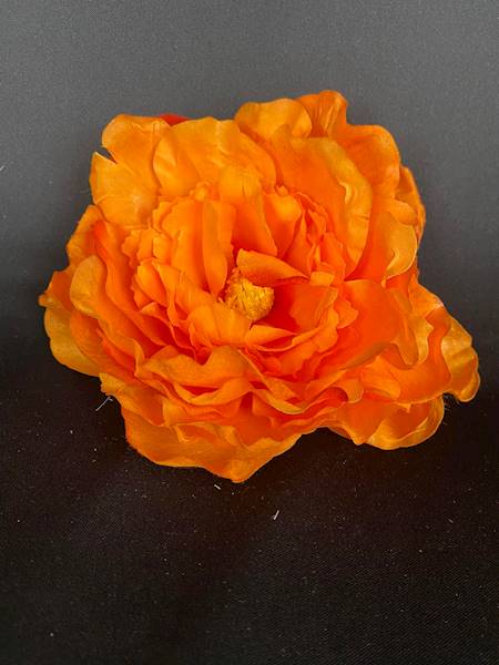 Peonia