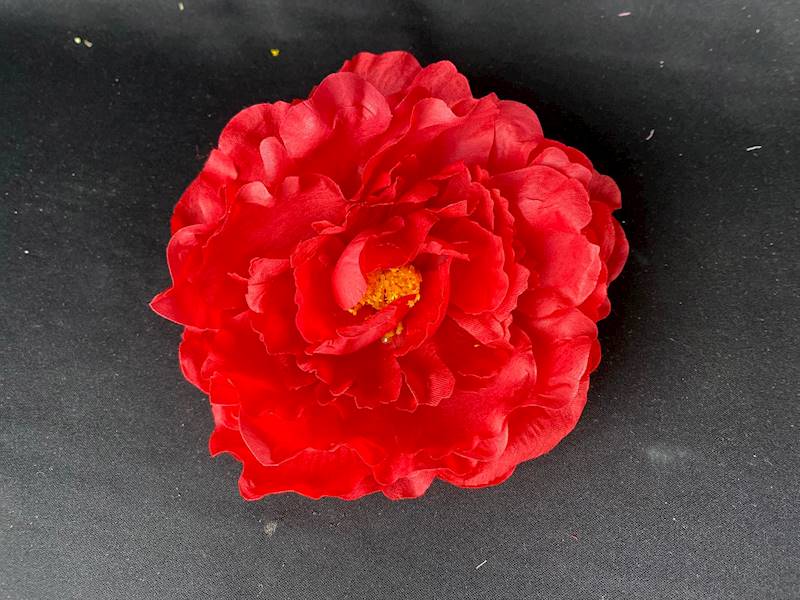 Peonia