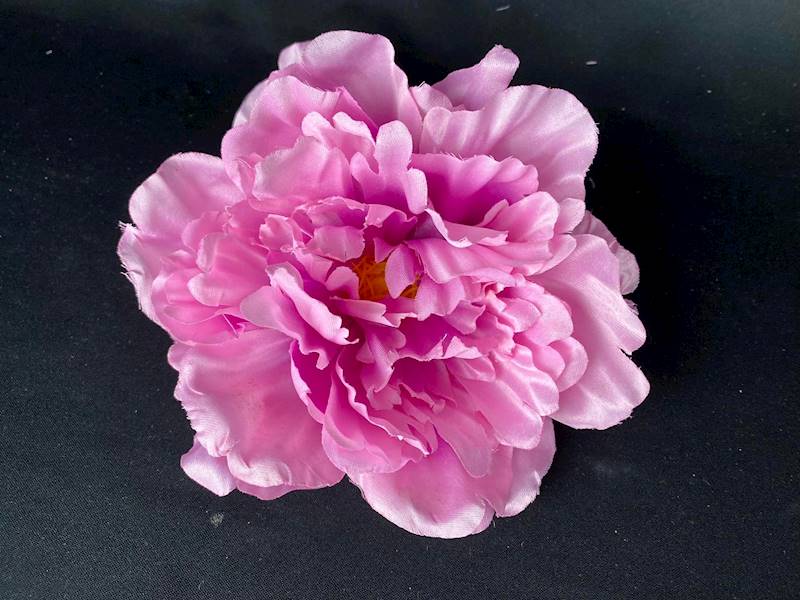 Peonia