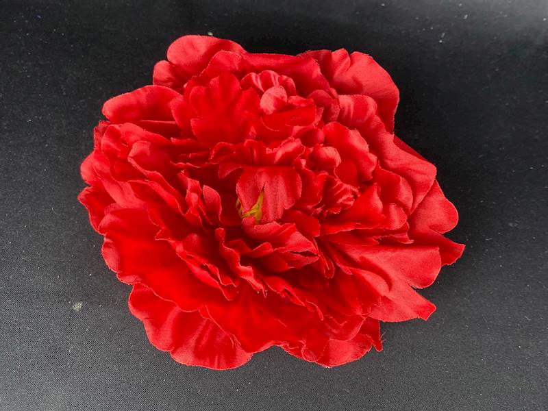 Peonia