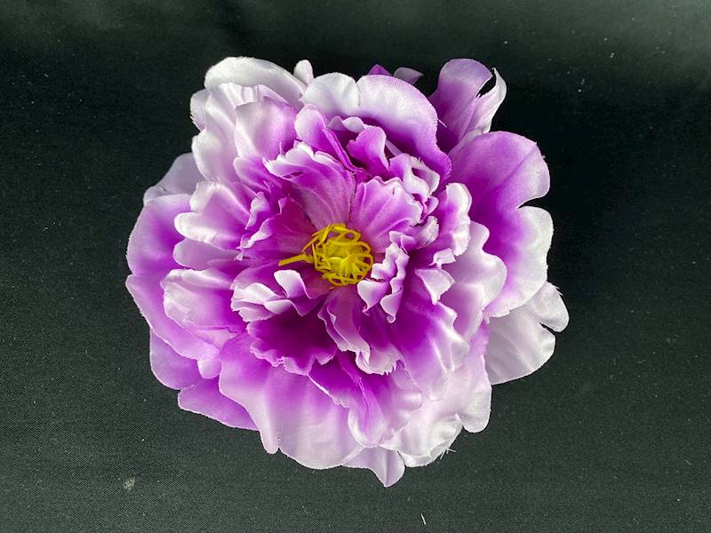 Peonia