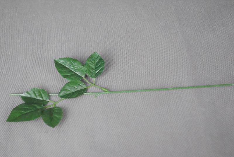 Łod róży