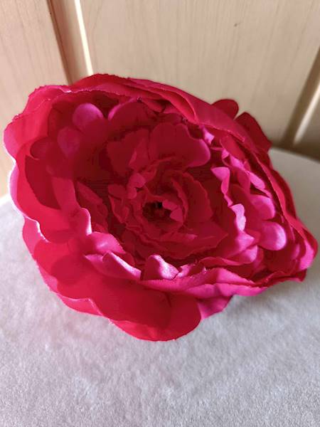 Peonia