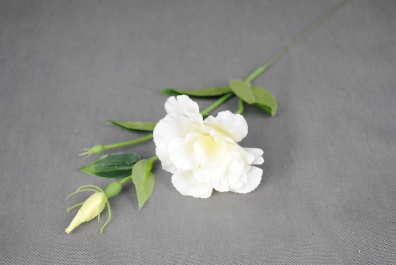 Eustoma