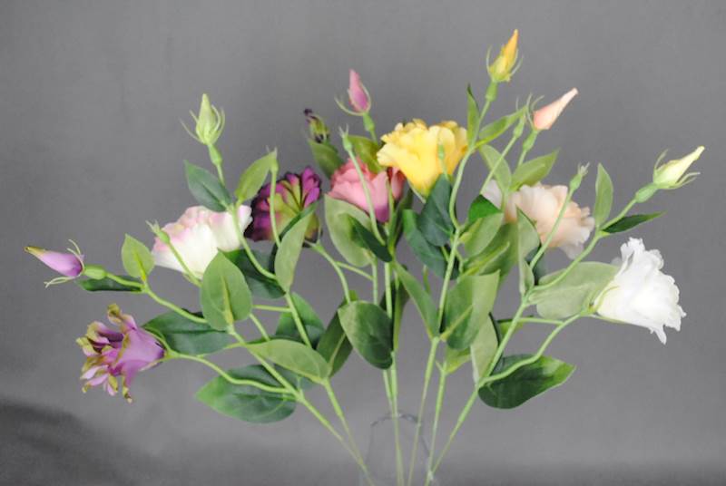 Eustoma