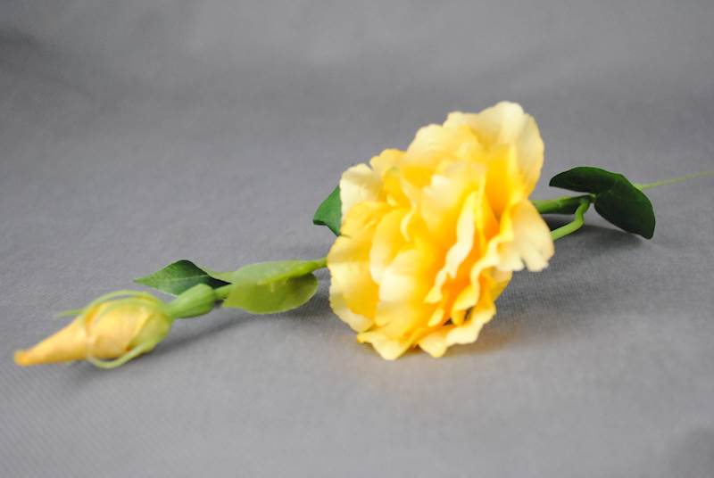 Eustoma