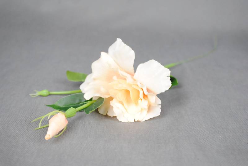 Eustoma