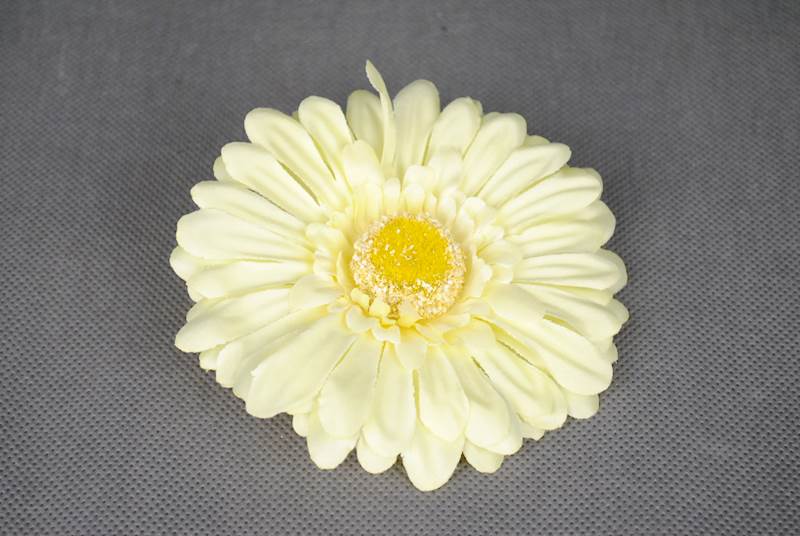 Gerbera