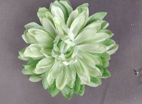 Dalia
