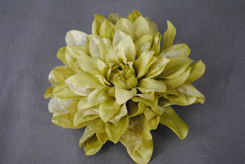 Dalia