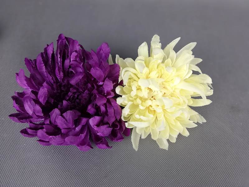 Chryzantema