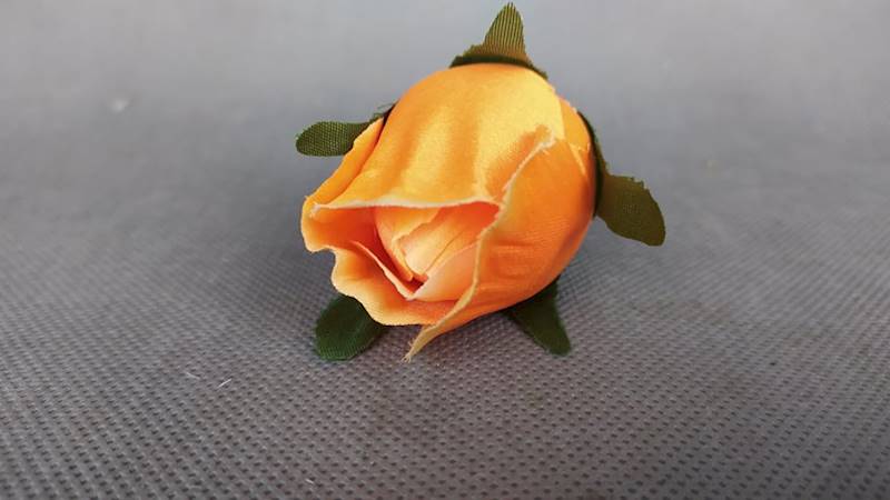 Róża 