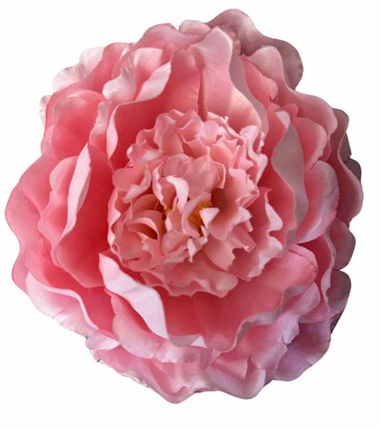 PEONIA