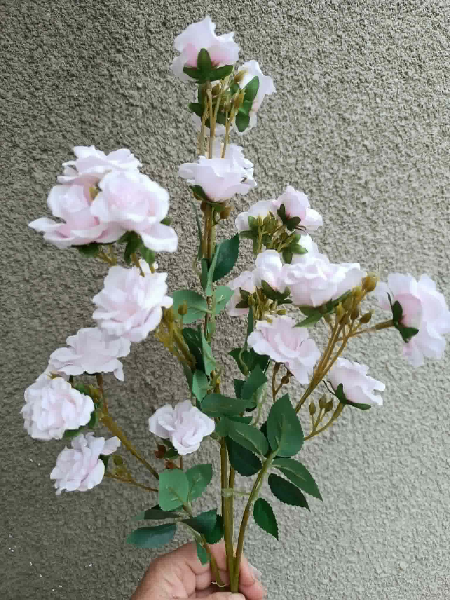 Gałązka róży