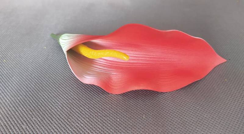 Calla
