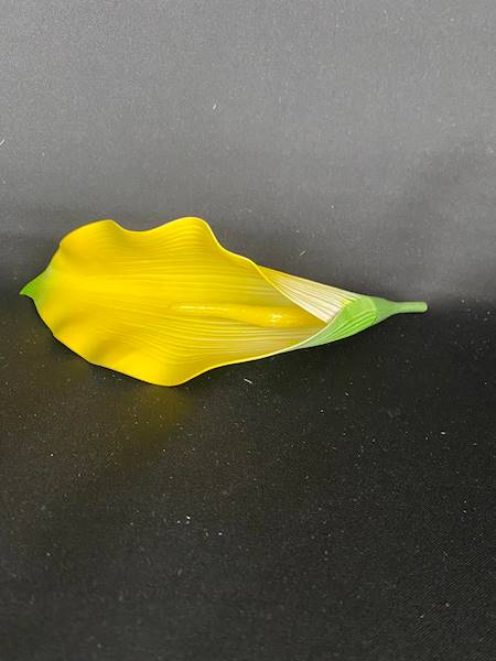Calla