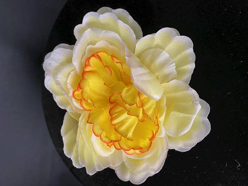 Peonia