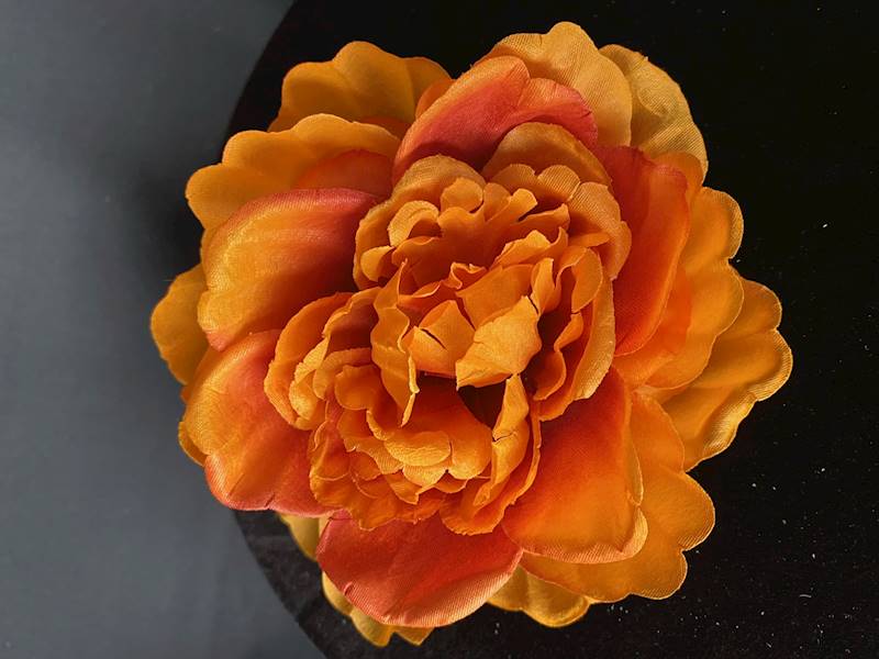 Peonia