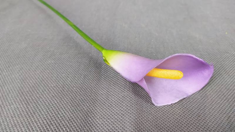 Calla