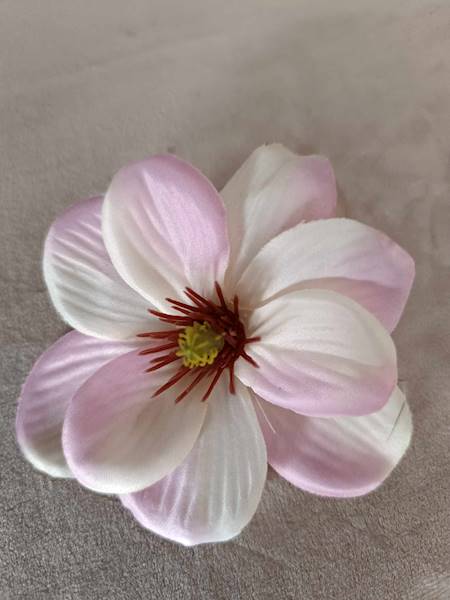 Dalia