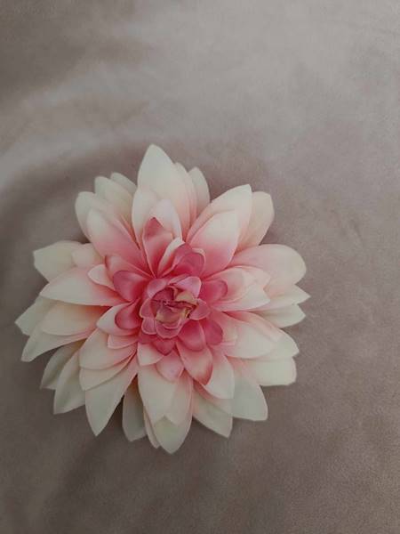 Dalia