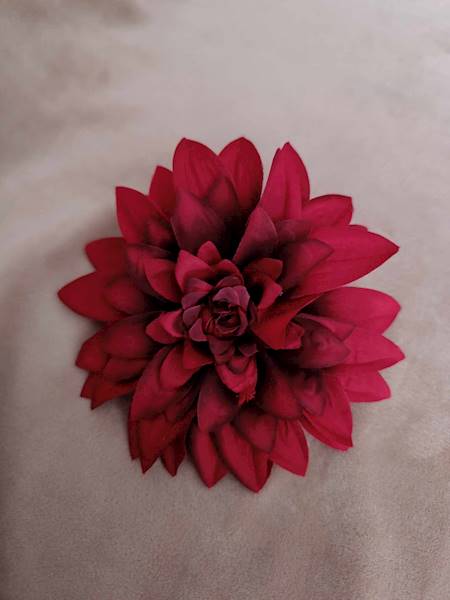 Dalia